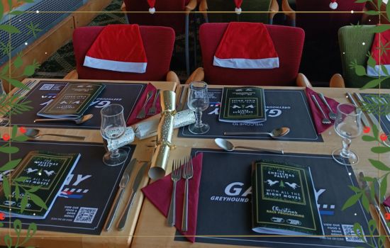 Enjoy the Christmas Season at Galway Greyhound Stadium Enjoy the Christmas Season at Galway Greyhound Stadium