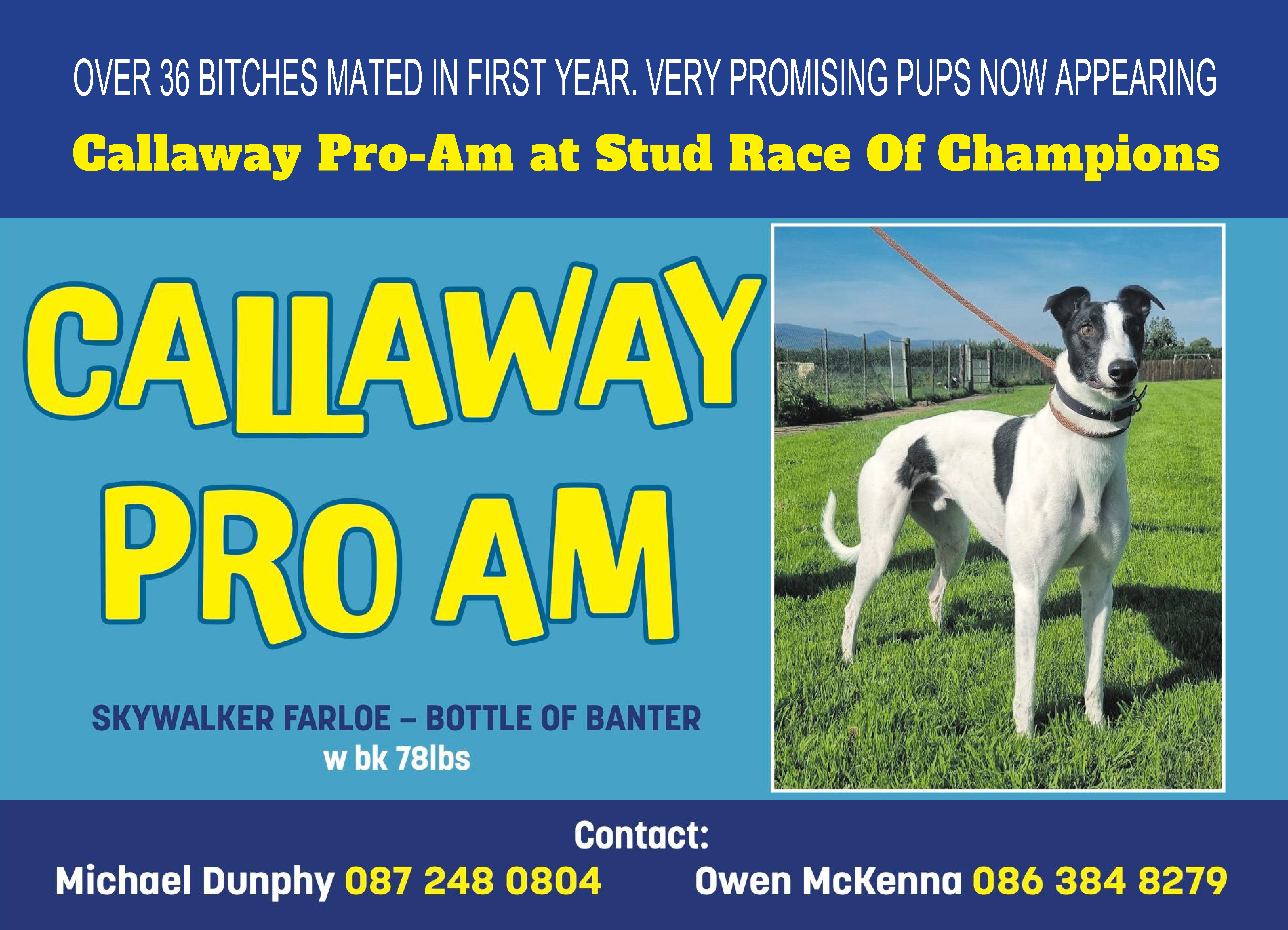 Callaway ad for 2025 entries