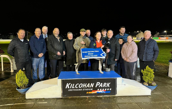 Seven Beach winner of the 2025 Droopys Stud Select Stakes in Kilcohan Park Greyhound Stadium Saturday 19th of April