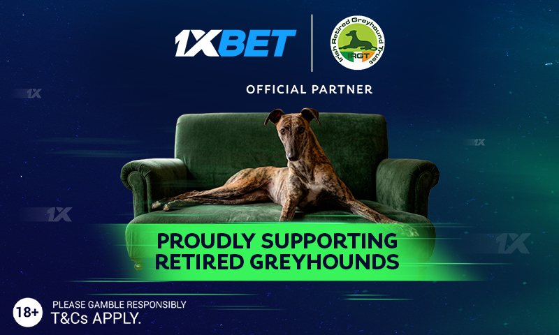Image shows a greyhound on a couch against a dark background with the 1Xbet and IRGT logos and text to announce their partnership 