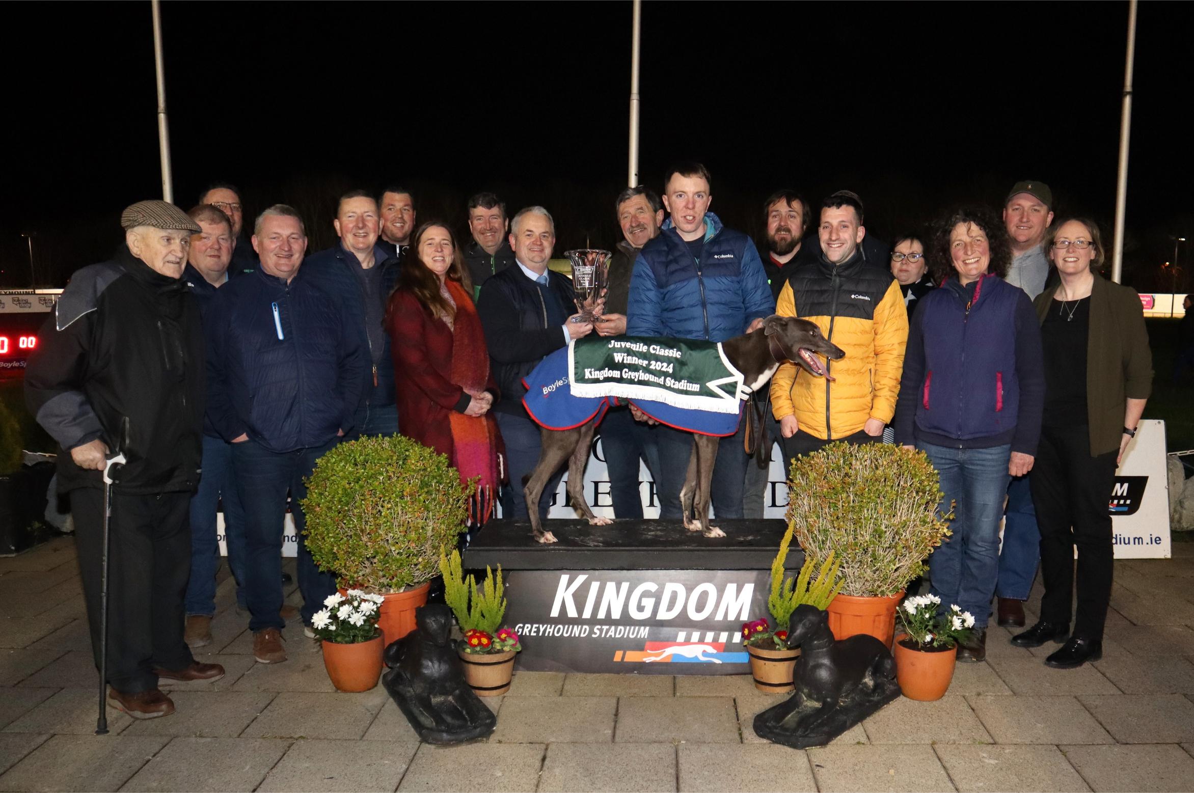 Ballymac Patriot the 2024 Juvenile Classic winner in the Kingdom Greyhound Stadium