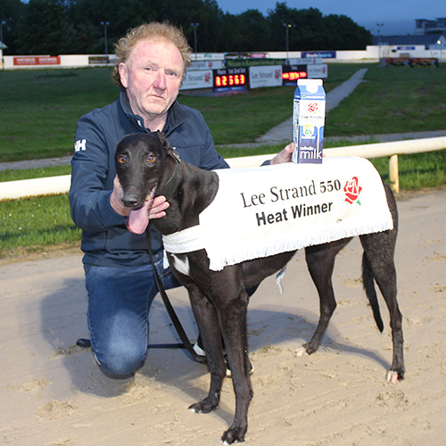 Michael O'Donovan with semi final 1 winner - Deadly Choice.